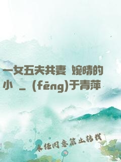 一女五夫共妻蘇婉晴的小說