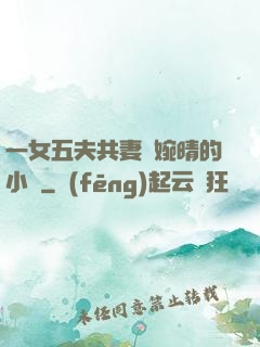 一女五夫共妻蘇婉晴的小說