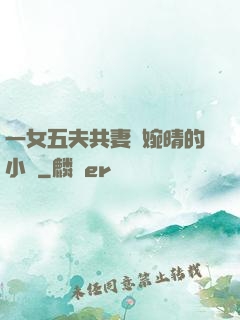 一女五夫共妻蘇婉晴的小說