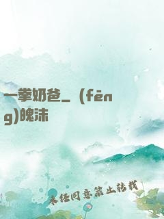 一拳奶爸