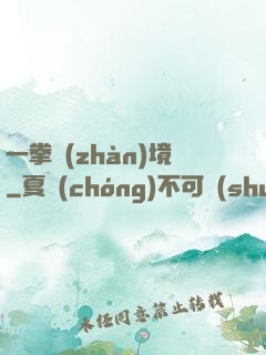 一拳戰(zhàn)境