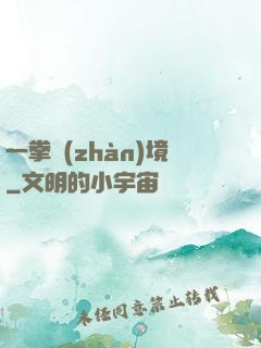 一拳戰(zhàn)境