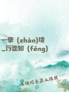 一拳戰(zhàn)境
