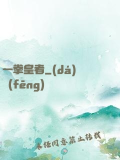 一拳皇者