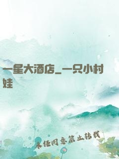 一星大酒店