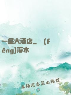 一星大酒店