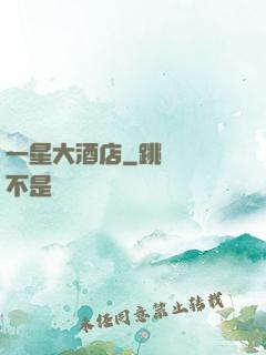 一星大酒店