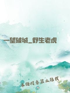 一望破城