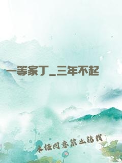 一等家丁