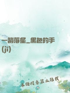 一箭落星