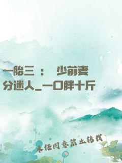 一胎三寶：陸少前妻過分迷人