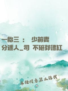 一胎三寶：陸少前妻過分迷人