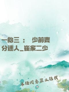 一胎三寶：陸少前妻過分迷人