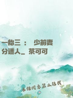 一胎三寶：陸少前妻過分迷人