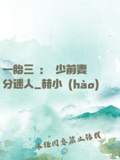 一胎三寶：陸少前妻過分迷人