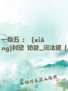 一胎五寶：鄉(xiāng)村悠閑奶爸