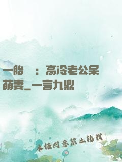 一胎兩寶：高冷老公呆萌妻