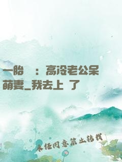 一胎兩寶：高冷老公呆萌妻