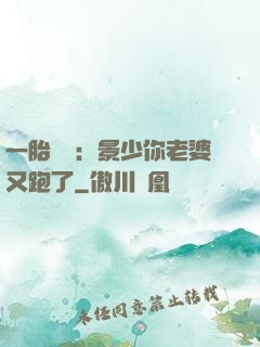 一胎雙寶：景少你老婆又跑了