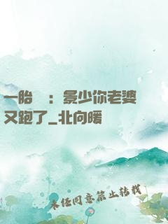 一胎雙寶：景少你老婆又跑了