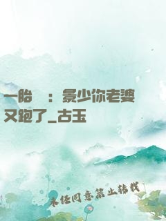 一胎雙寶：景少你老婆又跑了
