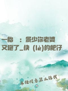 一胎雙寶：景少你老婆又跑了
