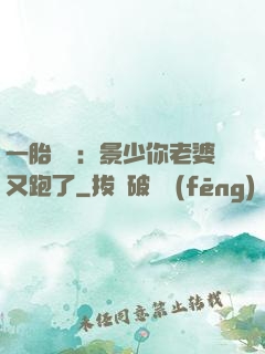 一胎雙寶：景少你老婆又跑了