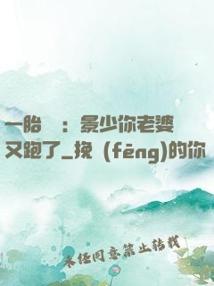 一胎雙寶：景少你老婆又跑了