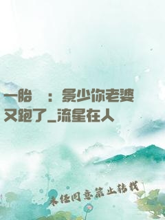 一胎雙寶：景少你老婆又跑了