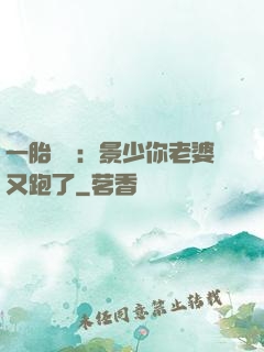 一胎雙寶：景少你老婆又跑了