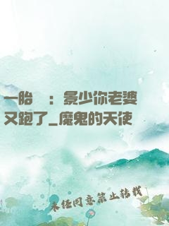 一胎雙寶：景少你老婆又跑了