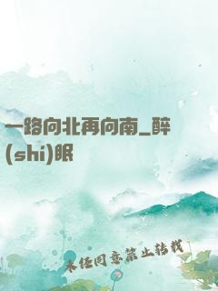 一路向北再向南