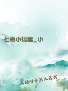 七零小福妻
