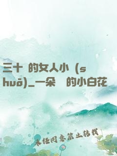 三十歲的女人小說(shuō)