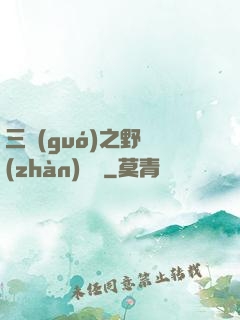 三國(guó)之野戰(zhàn)無雙