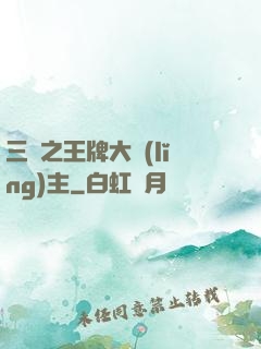 三國之王牌大領(lǐng)主