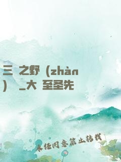 三國之野戰(zhàn)無雙