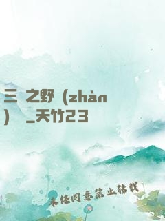 三國之野戰(zhàn)無雙