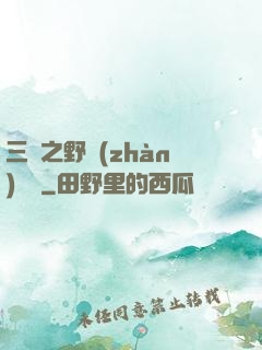 三國之野戰(zhàn)無雙
