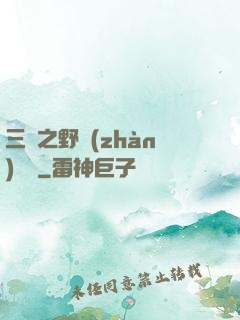 三國之野戰(zhàn)無雙