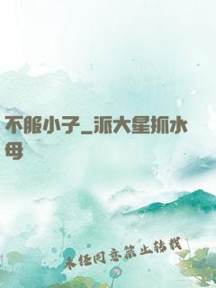 不服小子