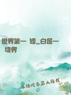 世界第一軍婚