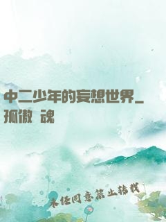 中二少年的妄想世界
