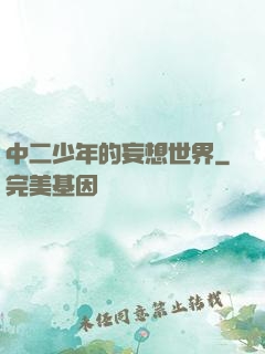 中二少年的妄想世界
