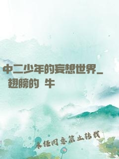 中二少年的妄想世界