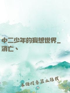 中二少年的妄想世界