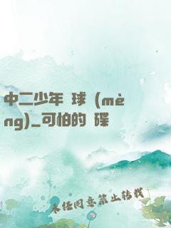 中二少年籃球夢(mèng)