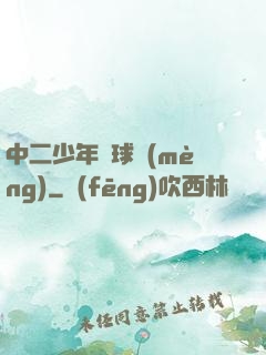 中二少年籃球夢(mèng)