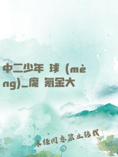 中二少年籃球夢(mèng)