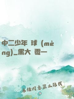 中二少年籃球夢(mèng)